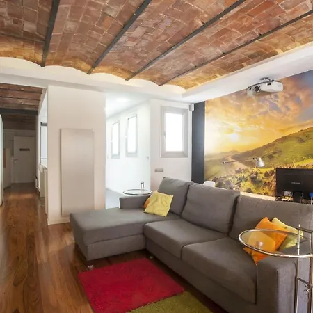 Beautiful, Bright, Spacious And Centric Loft Apartment