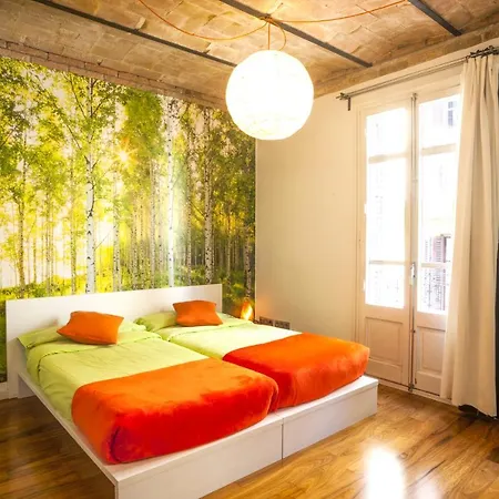 Beautiful, Bright, Spacious And Centric Loft Barcelone